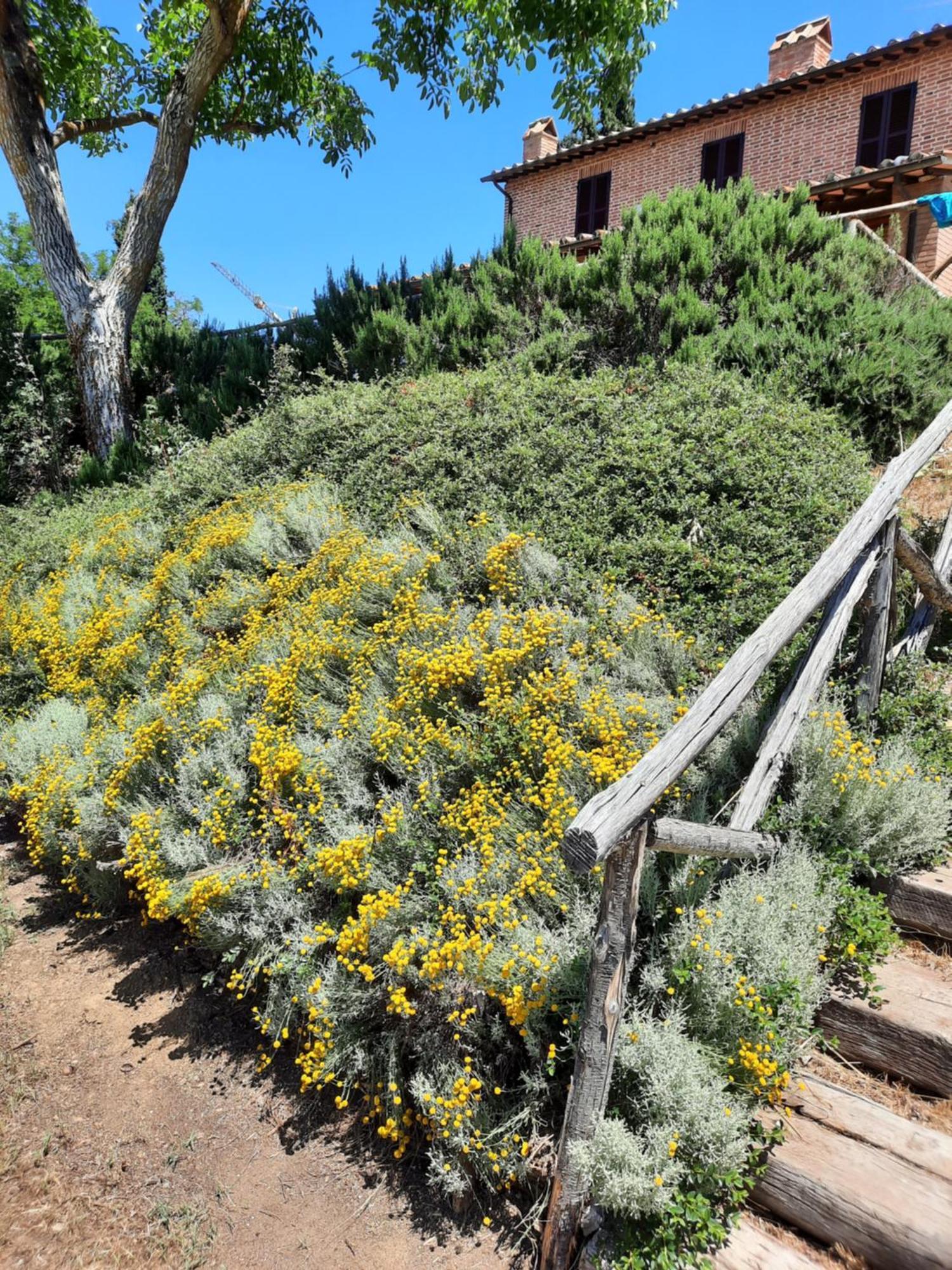 Agriturismo Podere Valdilucciole Citta della Pieve Bagian luar foto